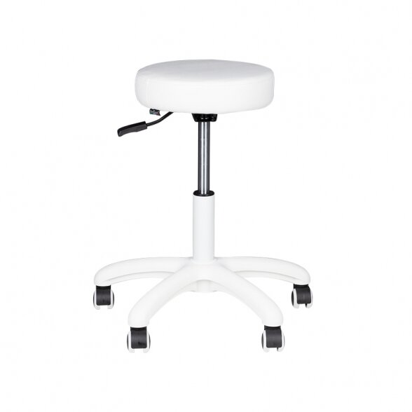 Master chair AM-303-2 2