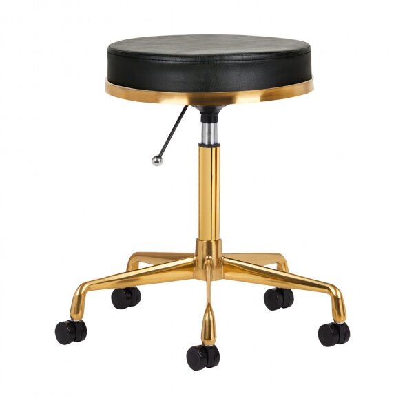 Master&#39;s chair H4, gold/black