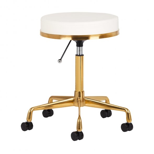 Master&#39;s chair H4, gold/white