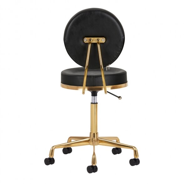 Master&#39;s chair H5, gold/black 2