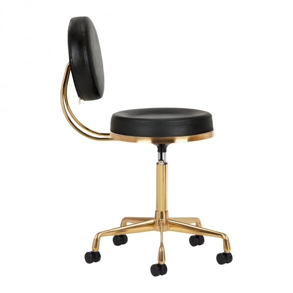 Master&#39;s chair H5, gold/black 3