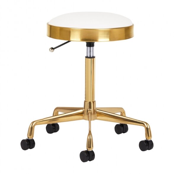 Master&#39;s chair H7, gold/white