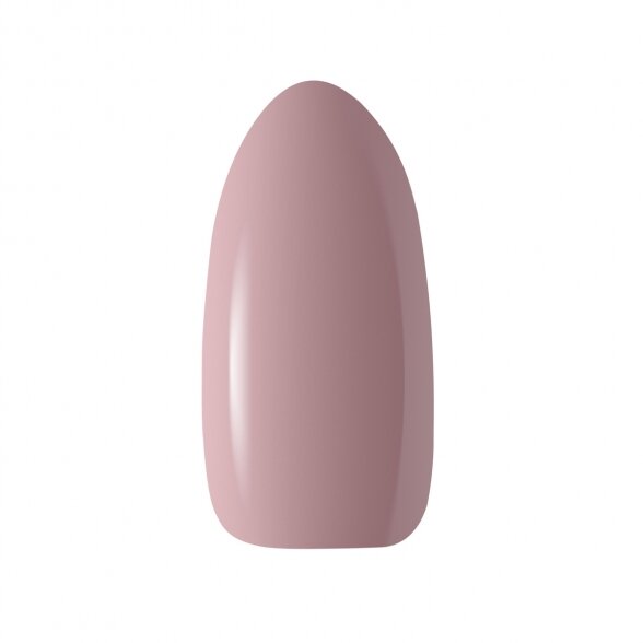 Hybrid nail polish CLARESA NUDE 117, 5g 1