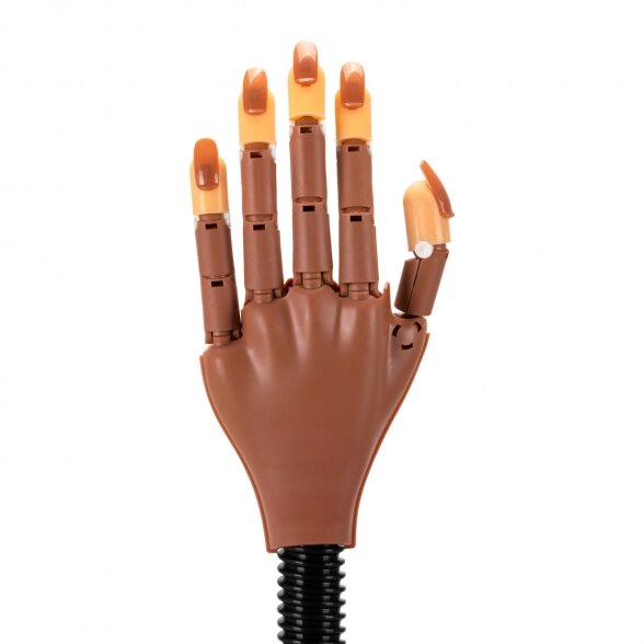 Model of hand and nail types for training, type 95 2