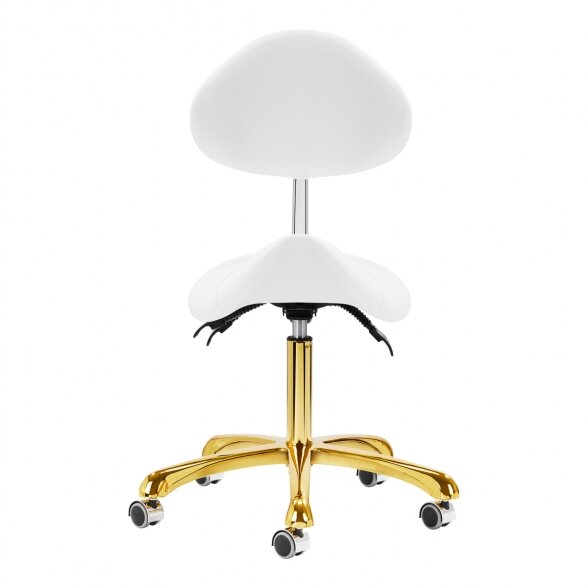 SALON CHAIR 1004 GIOVANNI, WHITE-GOLD 3