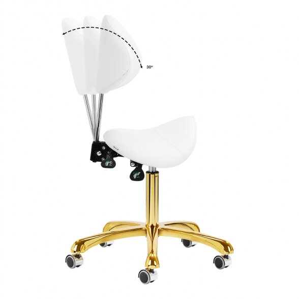 SALON CHAIR 1004 GIOVANNI, WHITE-GOLD 9