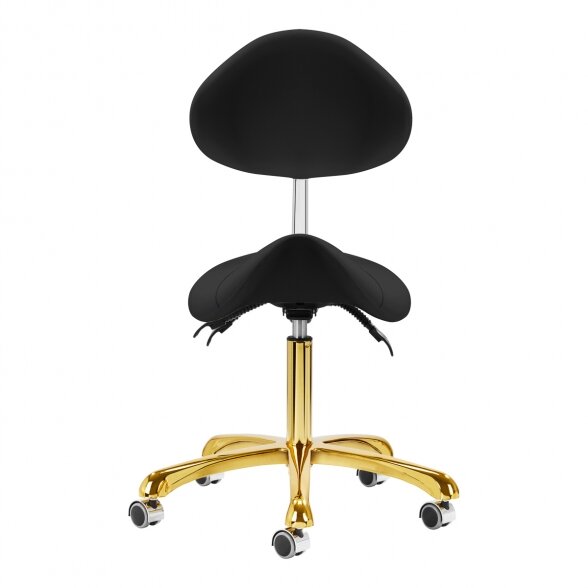 Salon chair 1004 Giovanni, black-gold 1