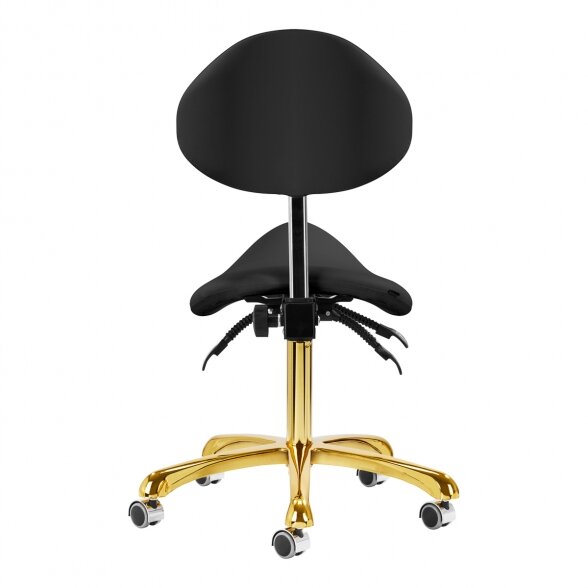 Salon chair 1004 Giovanni, black-gold 3