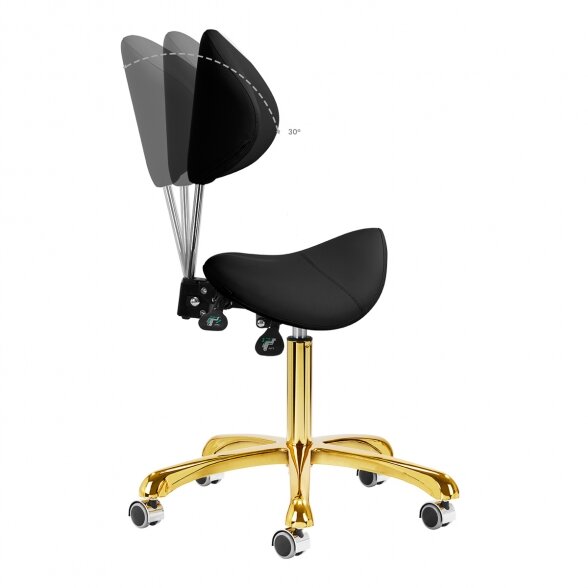 Salon chair 1004 Giovanni, black-gold 7