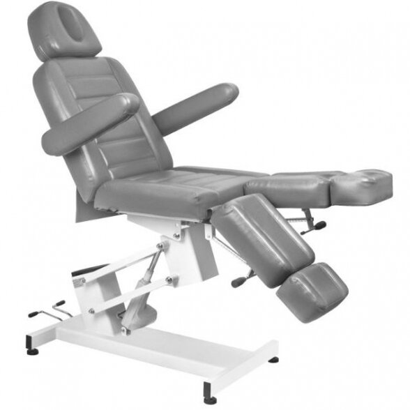 Electric multifunctional chair AZZURRO 706 PEDI, gray 1