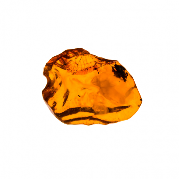 Carelika Amber GUA SHA Sculpting Stone natural Amber massage stone 1