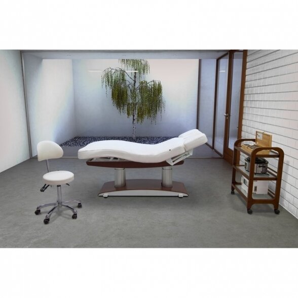 Electric massage bed Weelko Troch Dark Base, 4 motors 1