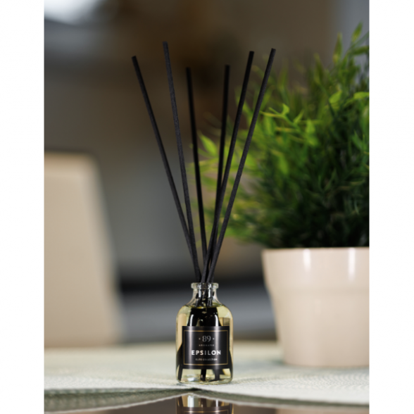 EPSILON Home fragrance with sticks 1