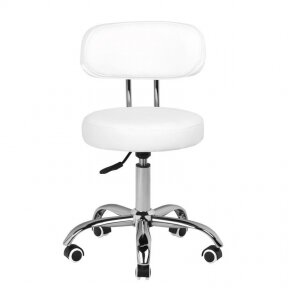 Professional craftsman&#39;s chair A-007, white