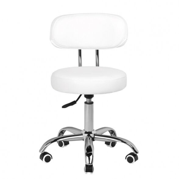 Professional craftsman&#39;s chair A-007, white 1