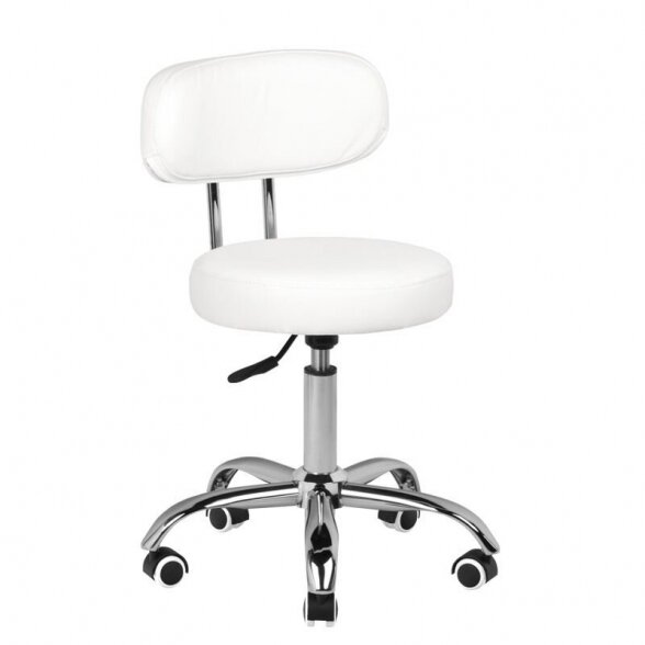 Professional craftsman&#39;s chair A-007, white