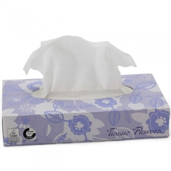 Cosmetic wipes, pack 100 pcs. 21 x 20 cm