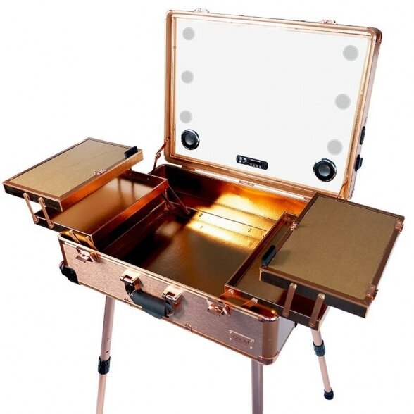 Make-up case with lighting Osom Professional GOLD 4