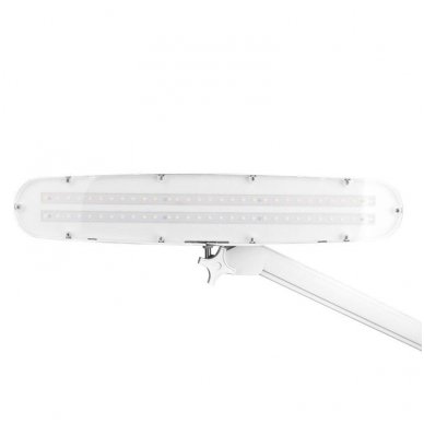 LED lempa ELEGANTE 801-L su stovu, šviesos intensyvumo reguliavimu 5