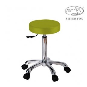 Master Chair, 1023A SILVER FOX LIME