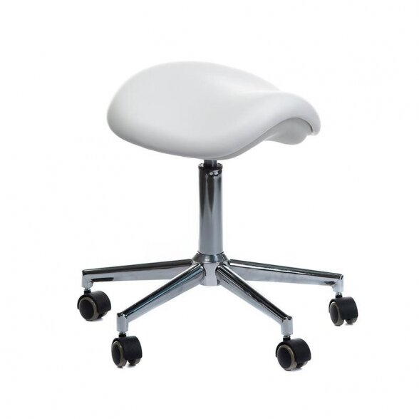 Master chair BD-Y913