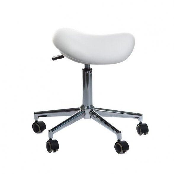 Master chair BD-Y913 2