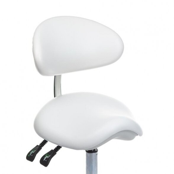 Master chair BD-Y925 1