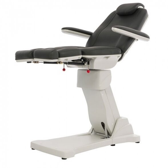 Electric pedicure chair Weelko PLANT, 3 motors, dark gray 2