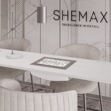 SheMax įmontuojamas dulkių surinkėjas Smart V-Pro baltos sp. 60W 4