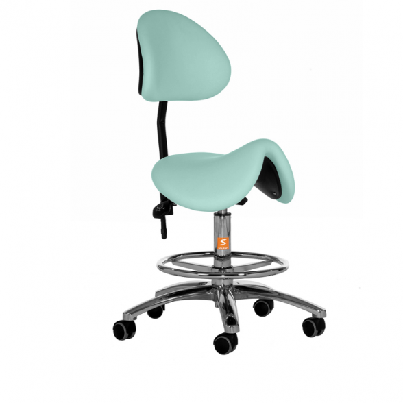 Soleni master's chair VIII-4, mint