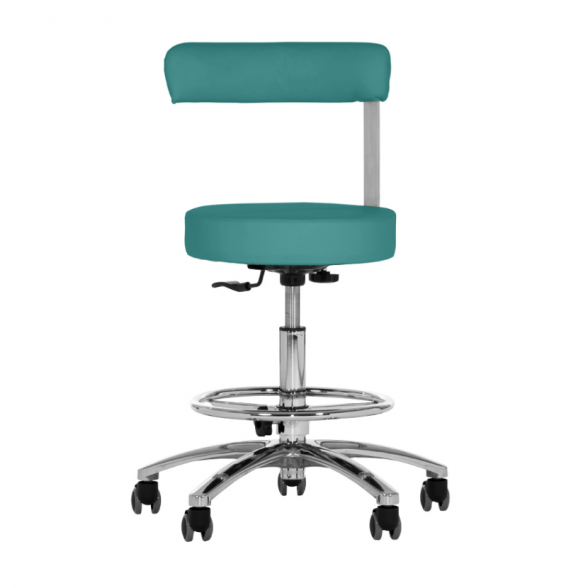 Soleni master chair X, agave